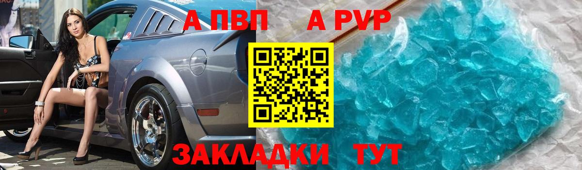 Альфа ПВП СК Нововоронеж