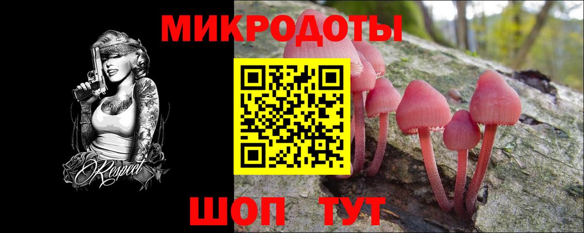 Галлюциногенные грибы Cubensis Нововоронеж