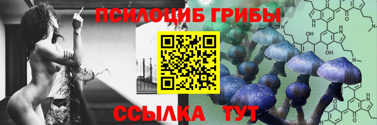Галлюциногенные грибы GOLDEN TEACHER  Галлюциногенные грибы Psilocybine cubensis  Нововоронеж  Вход с VPN 